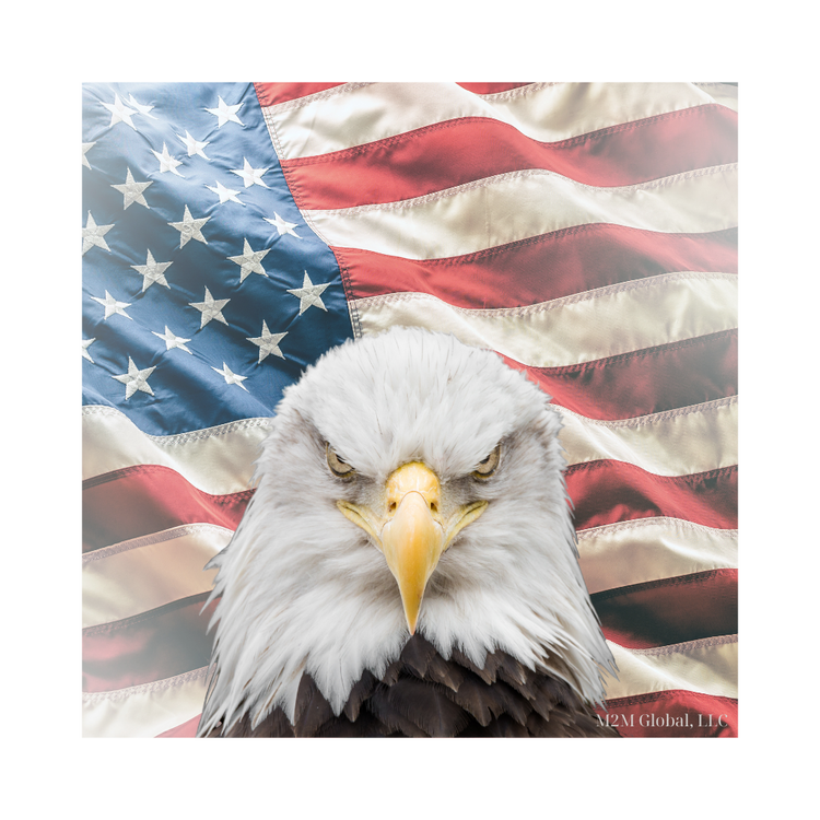 American flag background with Bald Eagle facing you