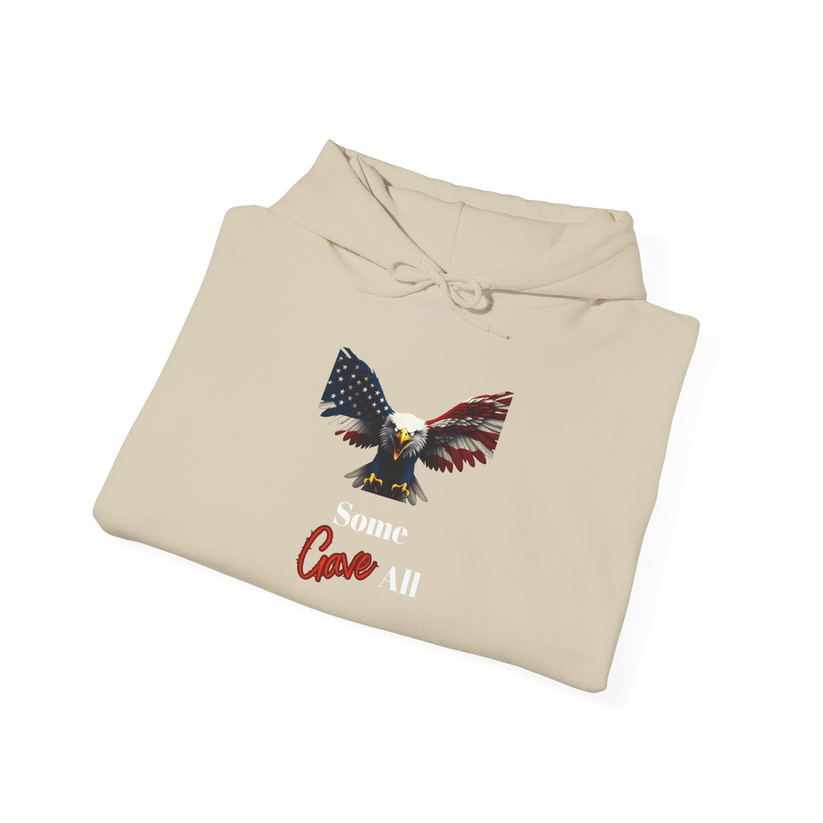 Some Gave All Patriotic Eagle on a Pullover Hoodie
