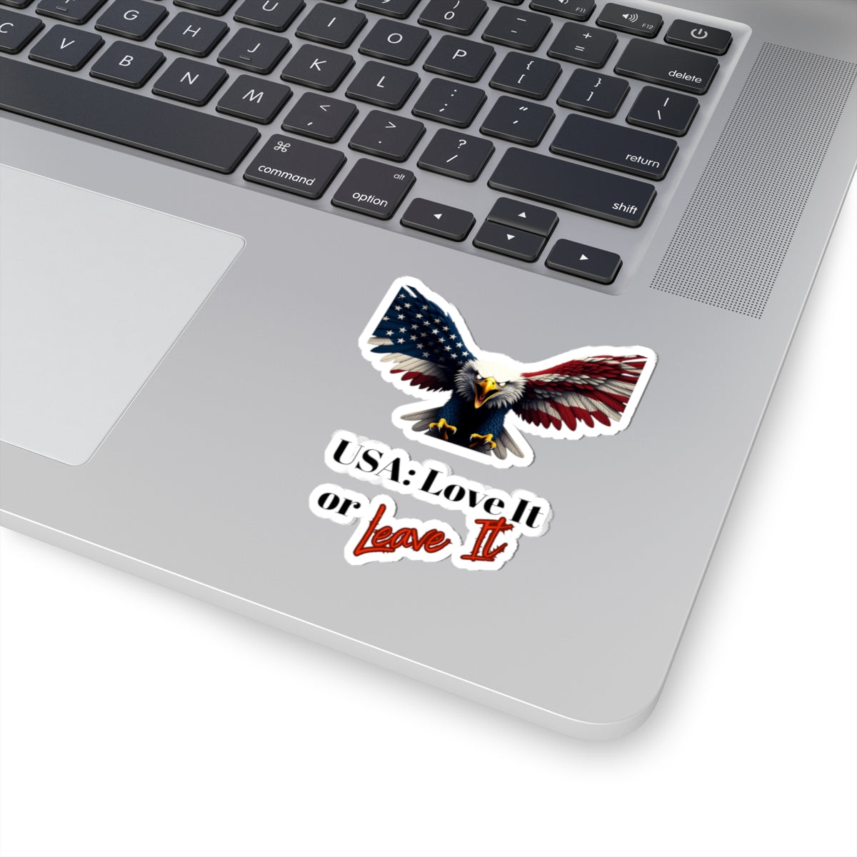 USA Love It Or Leave It Patriotic Eagle on a Kiss-Cut Stickers
