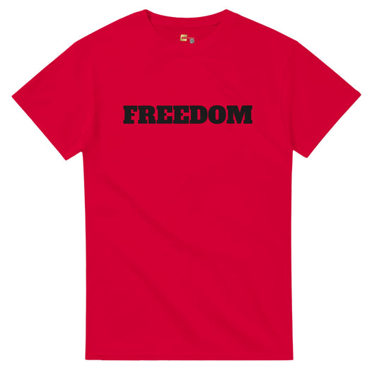 Charlie Kirk 'FREEDOM' on a Heavyweight T-Shirt