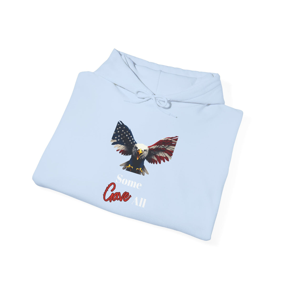 Some Gave All Patriotic Eagle on a Pullover Hoodie