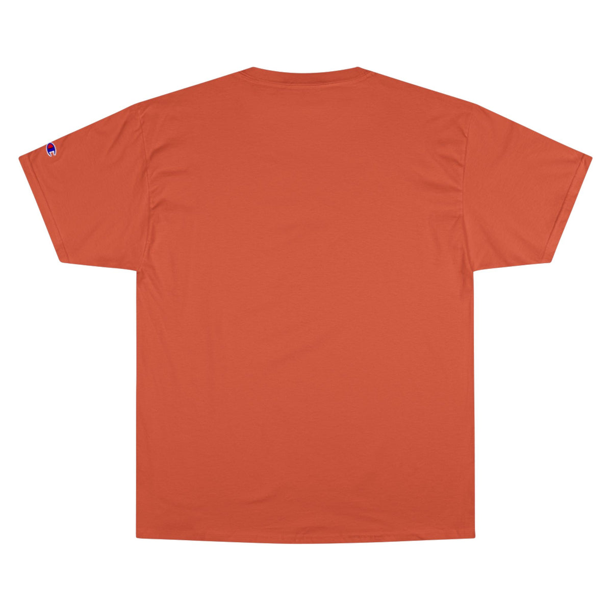 United We Stand small font text below an eagle head on a Champion Tee