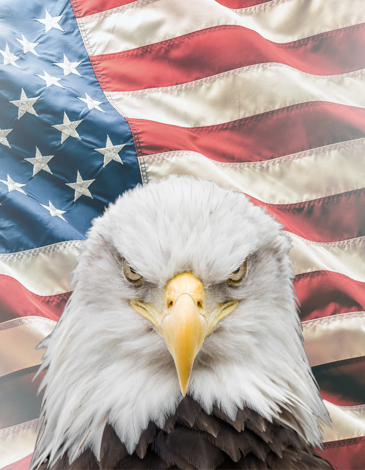 Patriotic Pride