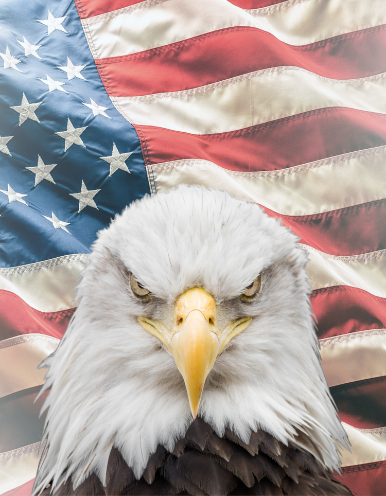 Patriotic Pride