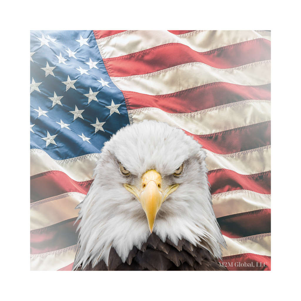 American flag background with Bald Eagle facing you