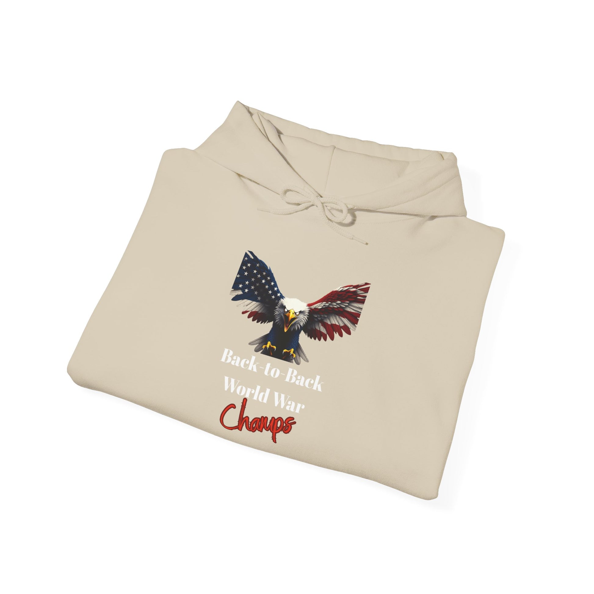 Back-To-Back World War Champs Patriotic Eagle on a Pullover Hoodie