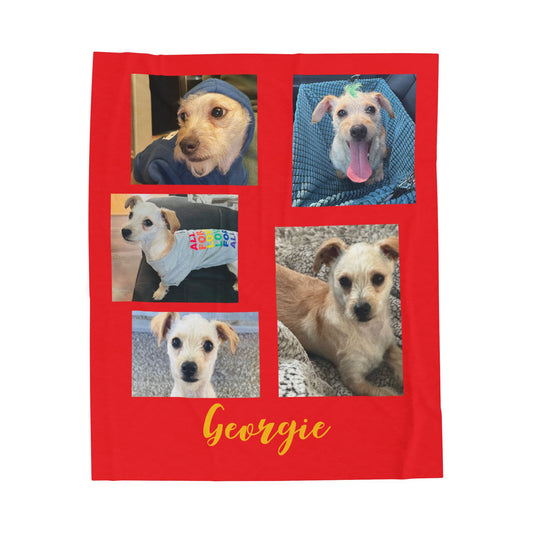 Georgie Velveteen Plush Blanket
