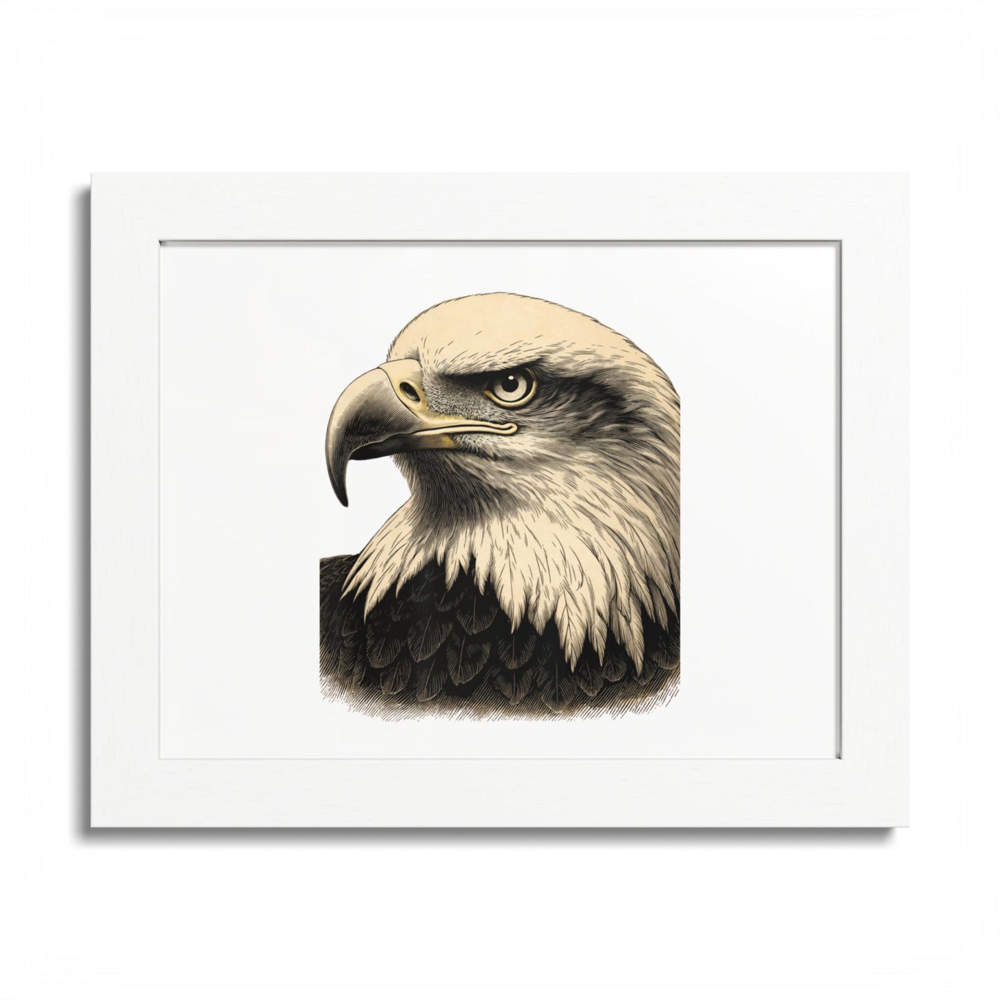Close-up head portrait of a bald eagle in a white frame.