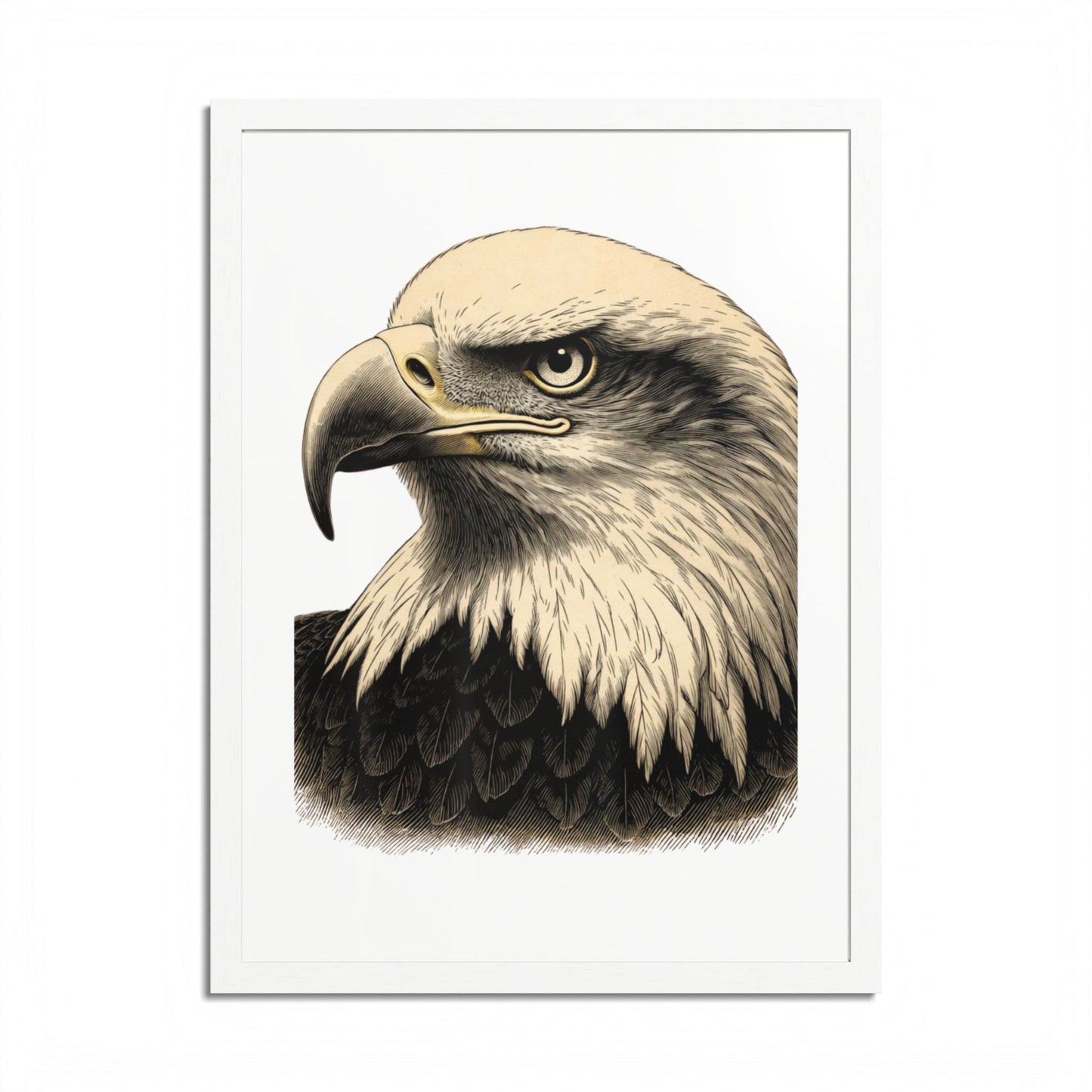 Detailed illustration of a bald eagle's head, facing right.