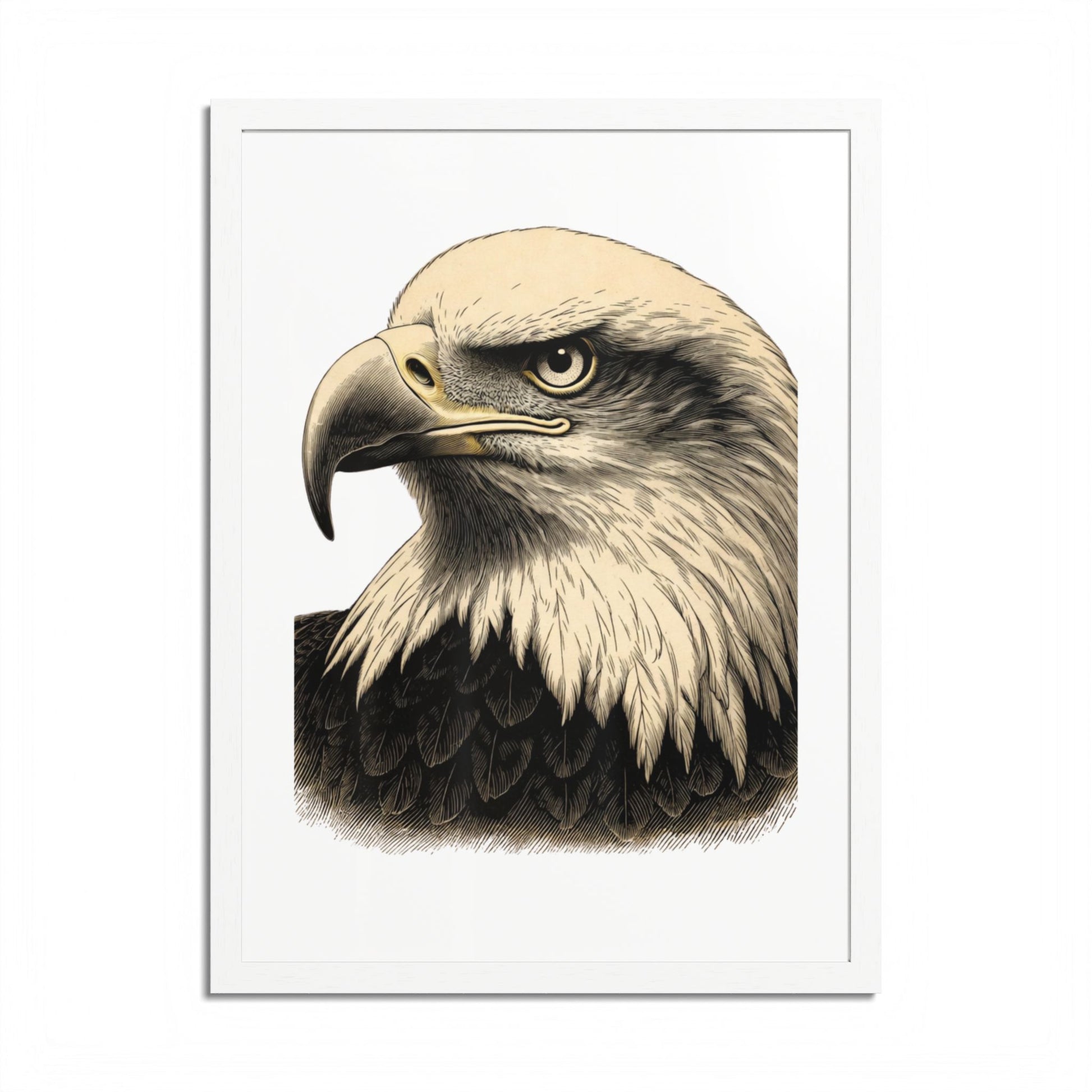 Detailed illustration of a bald eagle's head, facing right.