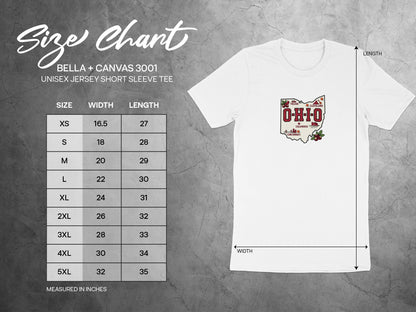 Bella + Canvas 3001 unisex t-shirt size chart with chest width and length measurements.